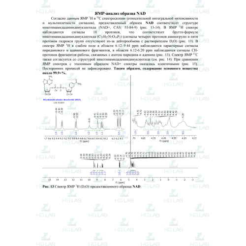 NAD+ HGLab - лиофилизат, 1000 мг х 1 флакон