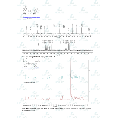 NAD+ HGLab - лиофилизат, 1000 мг х 1 флакон